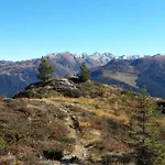 Unterm Wald Stumm